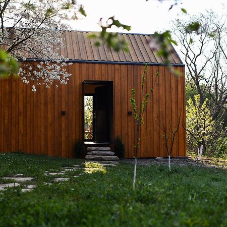 Casuta Din Livada Villa Maneciu Bagian luar foto