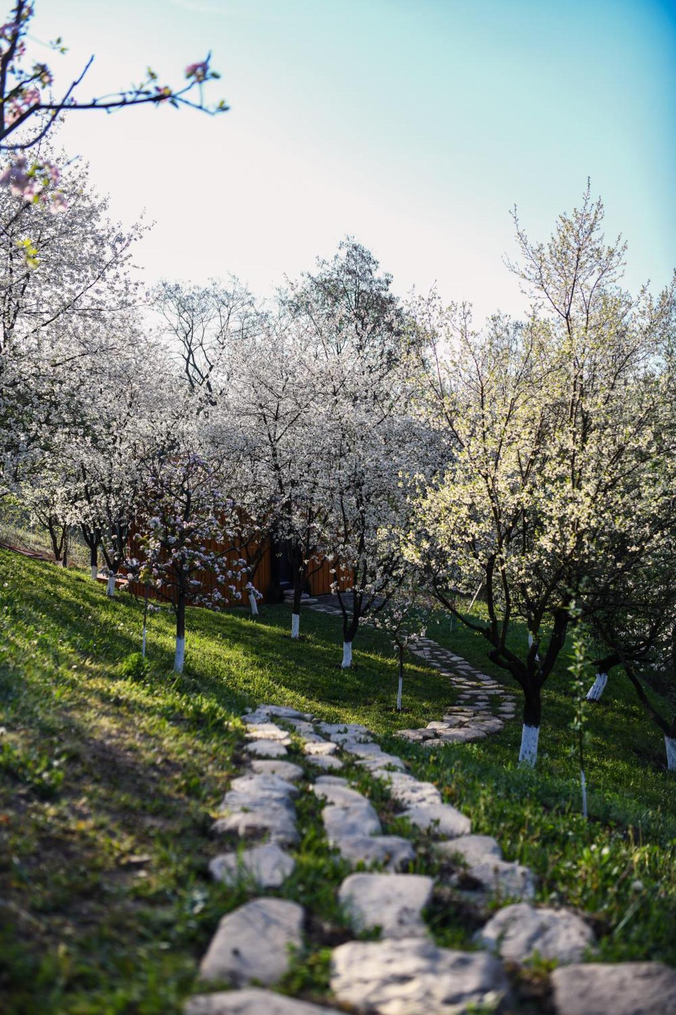 Casuta Din Livada Villa Maneciu Bagian luar foto